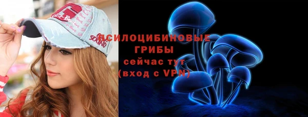мет Аркадак