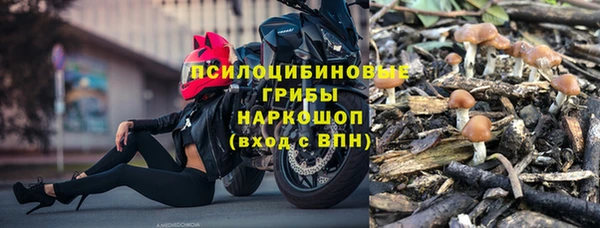 мет Аркадак